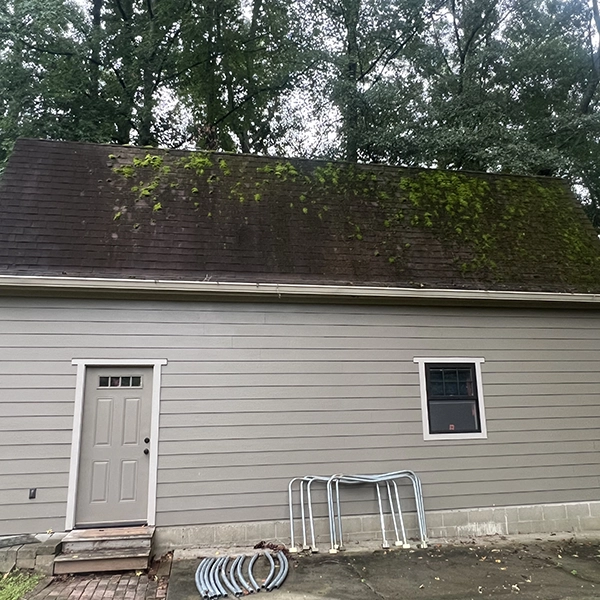 Before Soft Washing Shed Roof To Clean And Remove Mildew